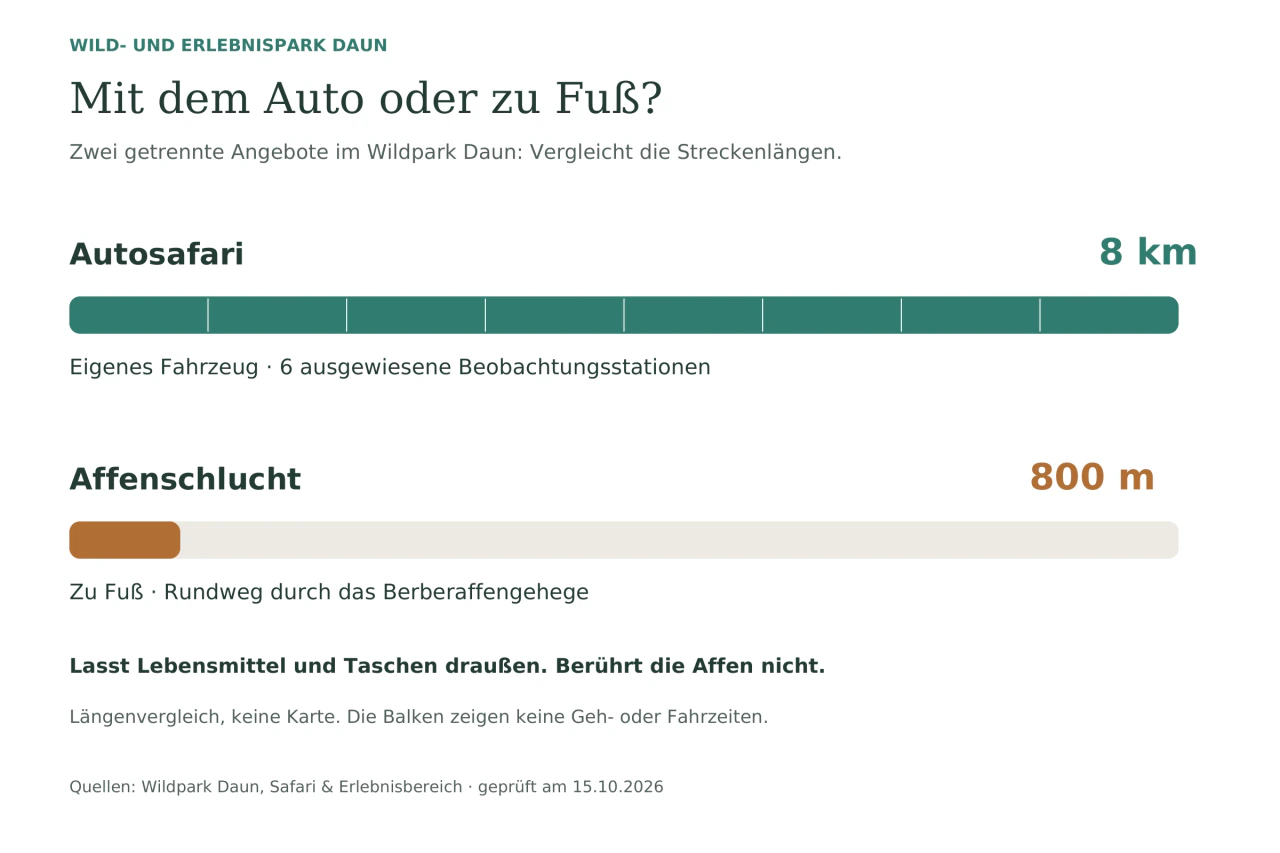 Balkendiagramm: Autosafari 8 Kilometer im eigenen Fahrzeug mit sechs Beobachtungsstationen; Affenschlucht 800 Meter zu Fuß. Hinweise: keine Lebensmittel oder Taschen mitnehmen, Affen nicht berühren.