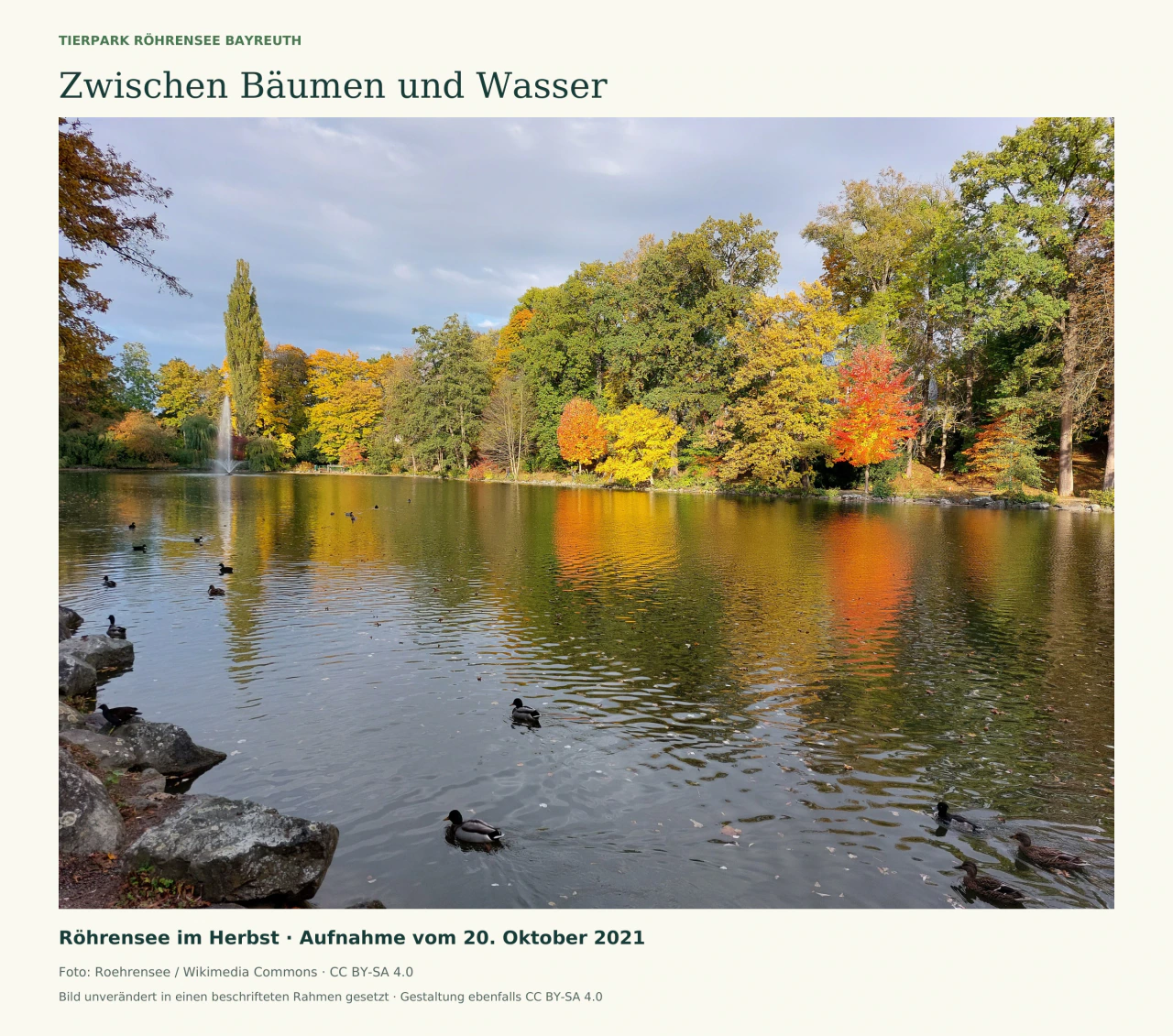 Historisches Foto des Röhrensees in Bayreuth: Wasserfläche mit mehreren Wasservögeln, einem Springbrunnen und Bäumen in gelben, grünen und roten Herbstfarben. Aufnahme vom 20. Oktober 2021.