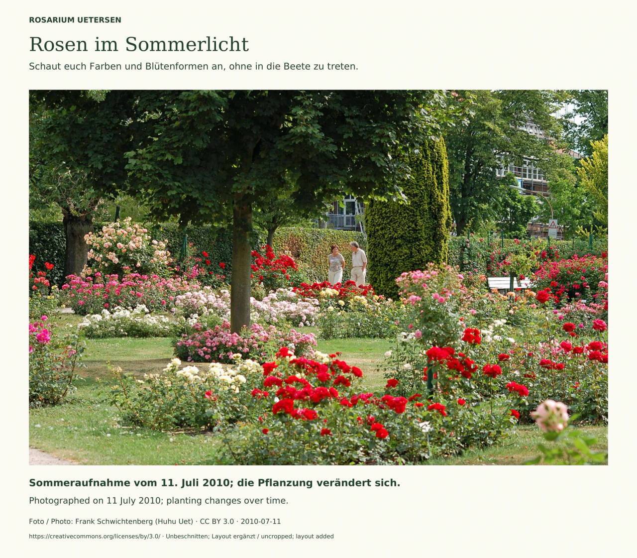 Dichte Rosenbeete mit roten, rosa, weißen und hellgelben Blüten zwischen Rasenflächen und schattenspendenden Bäumen im Rosarium Uetersen; zwei Besucher gehen im Hintergrund.