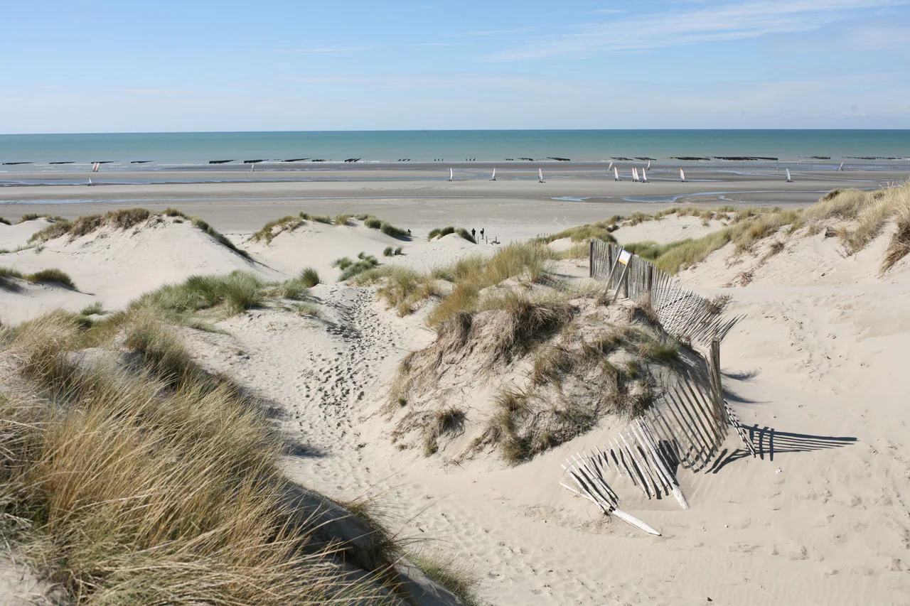 Grass-tufted sandy dunes and a wooden fence overlook a broad beach, distant land-yacht sails and the sea.