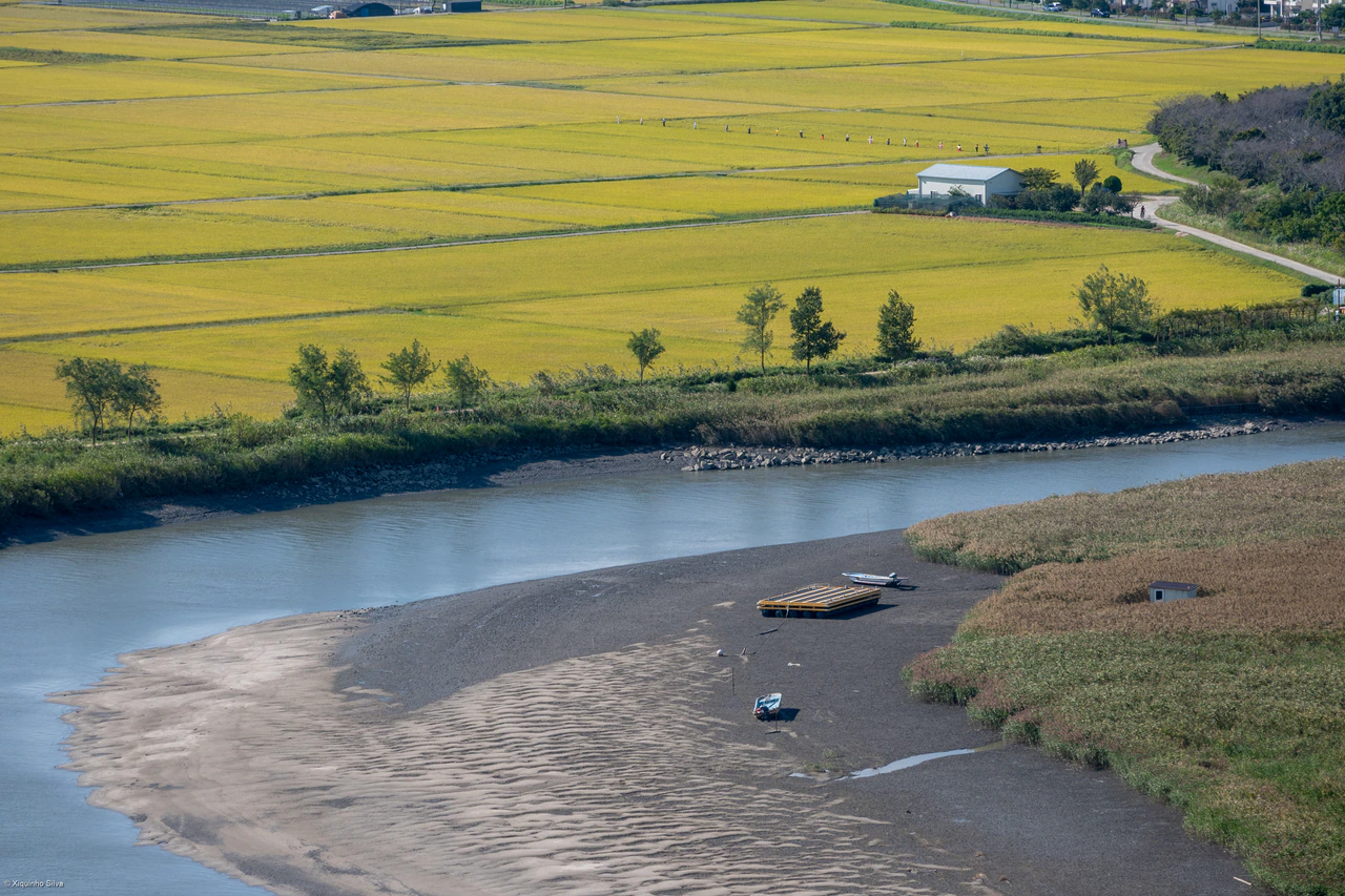 Blue tidal channel beside rippled exposed mud and reeds, with small boats and broad yellow-green agricultural fields beyond; the photographer’s copyright mark remains at bottom left.