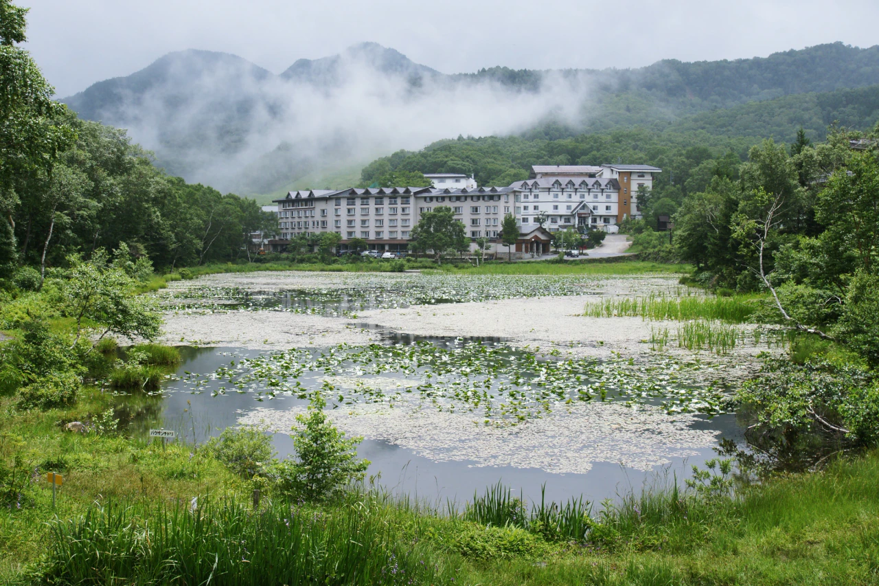 A pond covered in floating leaves fills the foreground, with green shoreline vegetation, pale buildings and misty wooded slopes beyond.