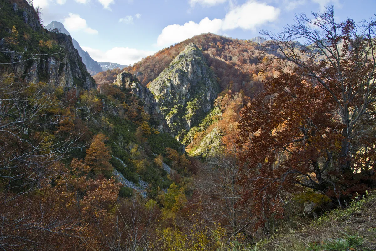 Orange and brown autumn woodland fills a steep rocky valley beneath limestone cliffs in Redes Natural Park.