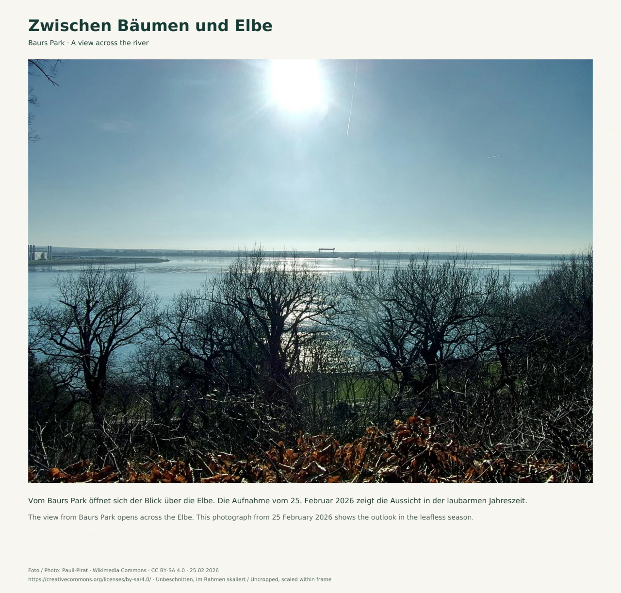 Blick durch kahle Baumkronen vom Hang auf die breite Elbe. Helles Sonnenlicht spiegelt sich im Wasser; am fernen flachen Ufer stehen einzelne technische Bauwerke.