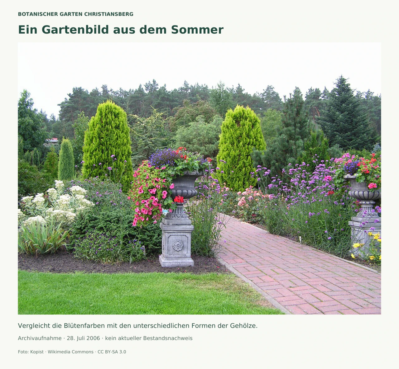 Ein gepflasterter Gartenweg zwischen bunten Blumenbeeten. Zwei graue bepflanzte Schmuckgefäße und zwei leuchtend grüne säulenförmige Gehölze stehen vor einem Hintergrund aus größeren Bäumen.
