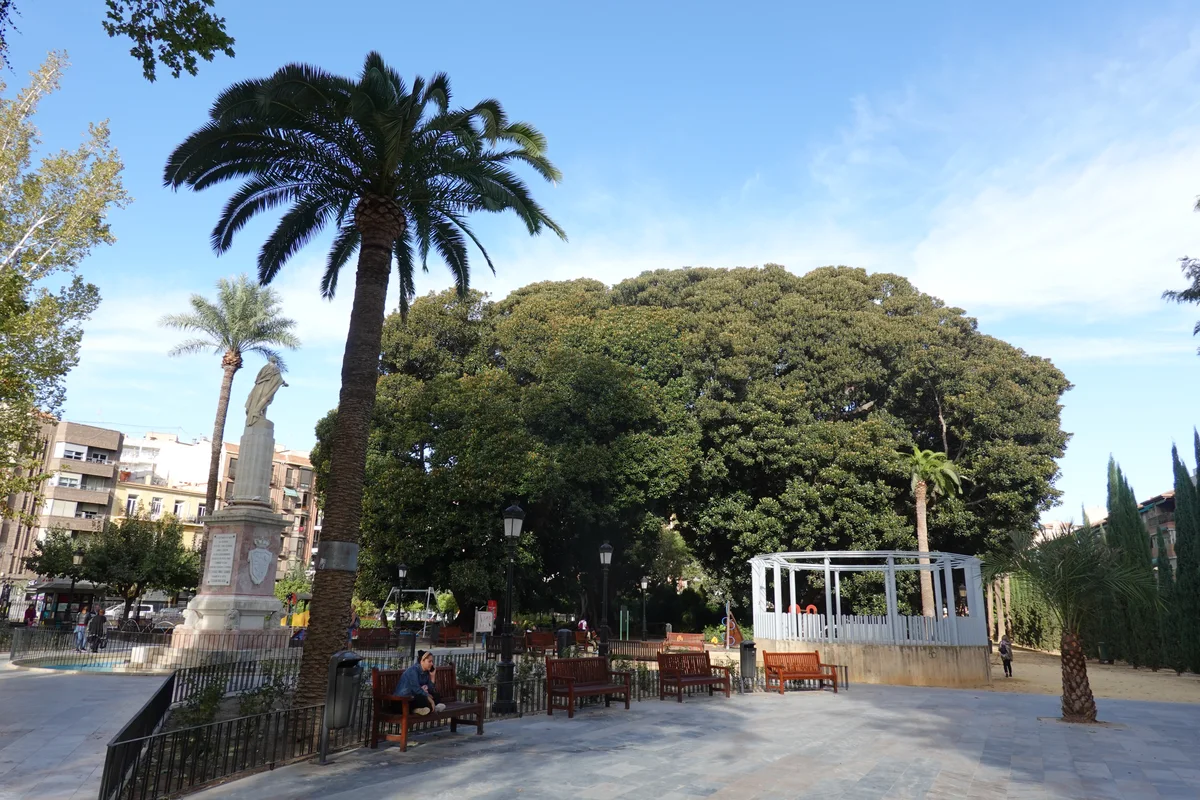 Palmeras, una amplia copa arbórea, bancos y un monumento de piedra en el borde del Jardín de Floridablanca de Murcia.