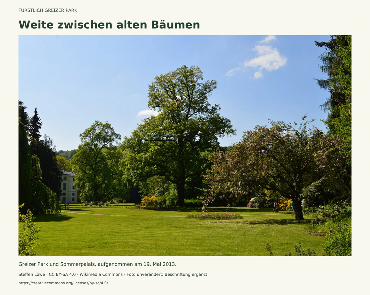 Weite Rasenfläche zwischen hohen, unterschiedlich geformten Parkbäumen; links ist ein Teil des hellen Sommerpalais zu sehen, im Vordergrund ein kleines Blumenbeet.