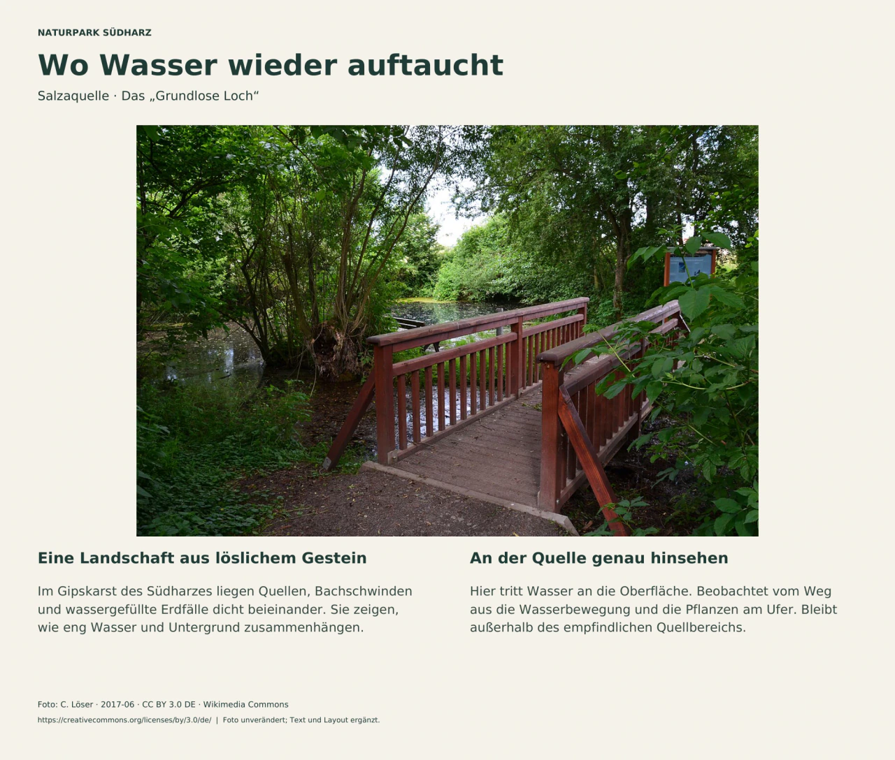 Wasserfläche der Salzaquelle „Grundloses Loch“ mit grünem Ufer; kurze Hinweise zur Karstlandschaft und zum Beobachten vom Weg aus.