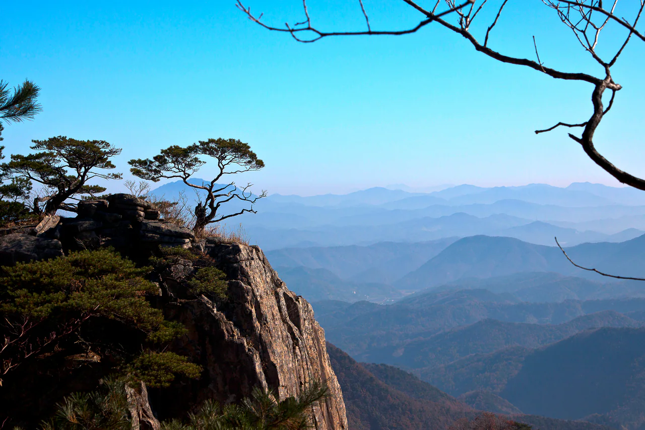 Pine trees grow above a rocky cliff on the left, while hazy blue mountain ridges recede into the distance beneath bare branches.