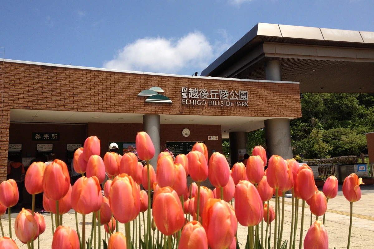 手前にピンクがかったオレンジ色のチューリップが広がり、奥には日本語と英語の公園名を掲げたレンガ造りの入口が見える。