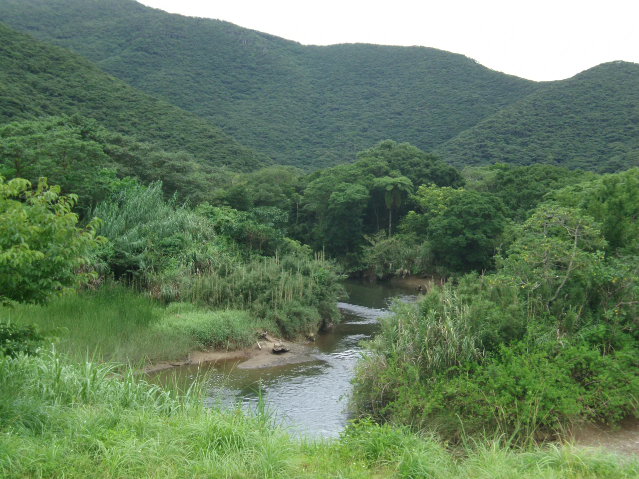 A narrow waterway winds between dense grasses and green trees beneath forest-covered hills.