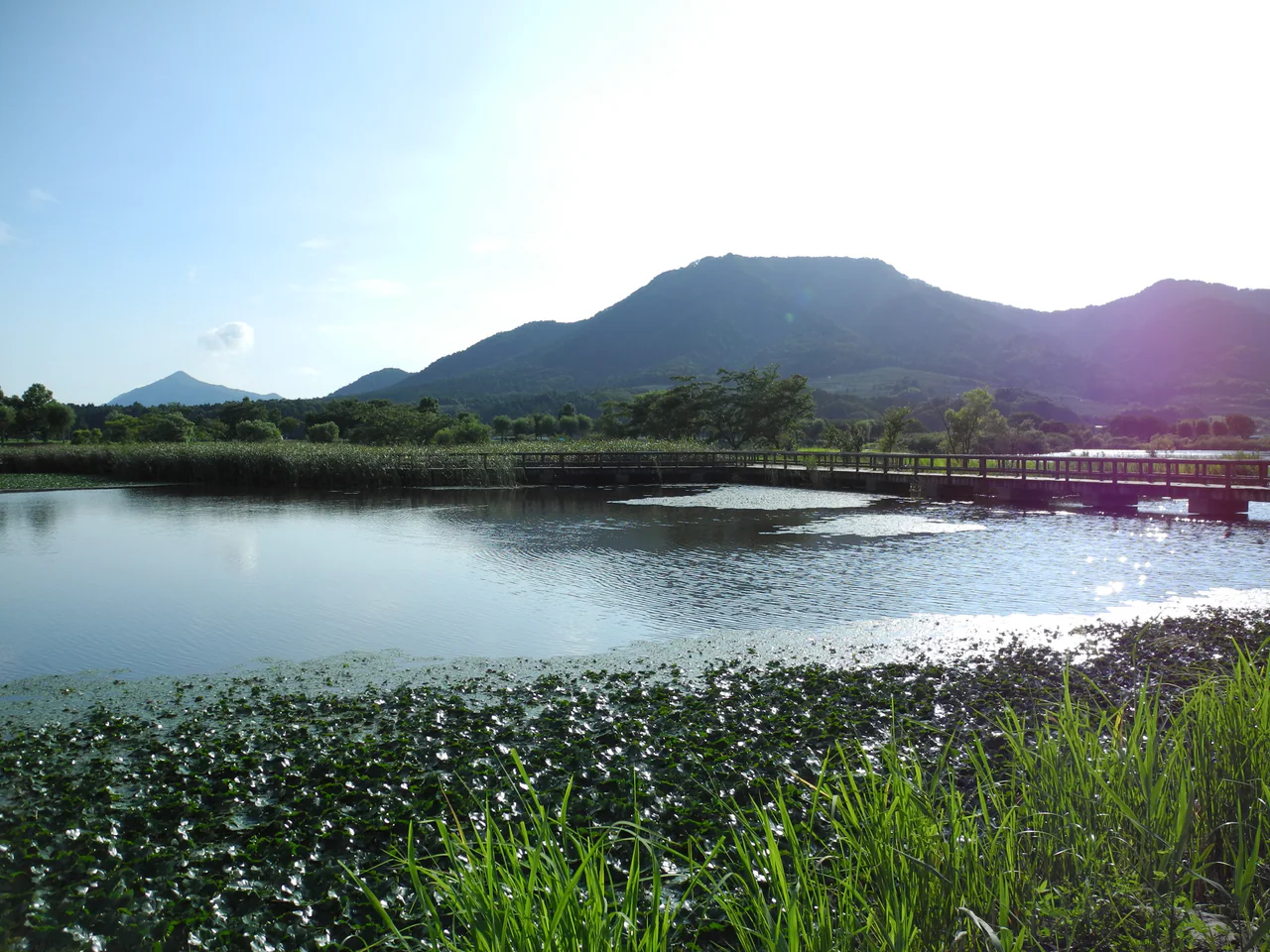 A wooden boardwalk crosses a lake edged with reeds and floating plants, with wooded mountains beyond and bright sunlight from the right.