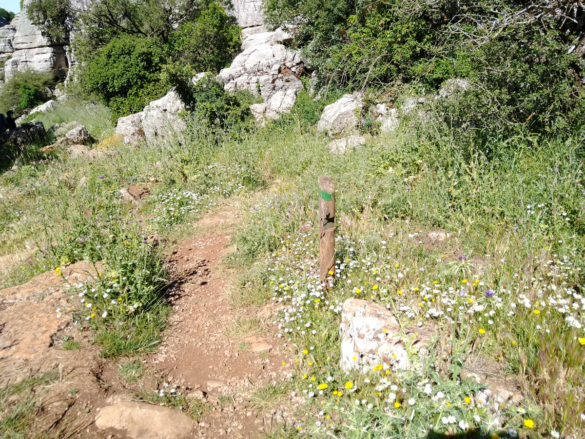 A narrow stony path curves through grasses and small flowers beside limestone outcrops, with a wooden green route marker in the foreground.
