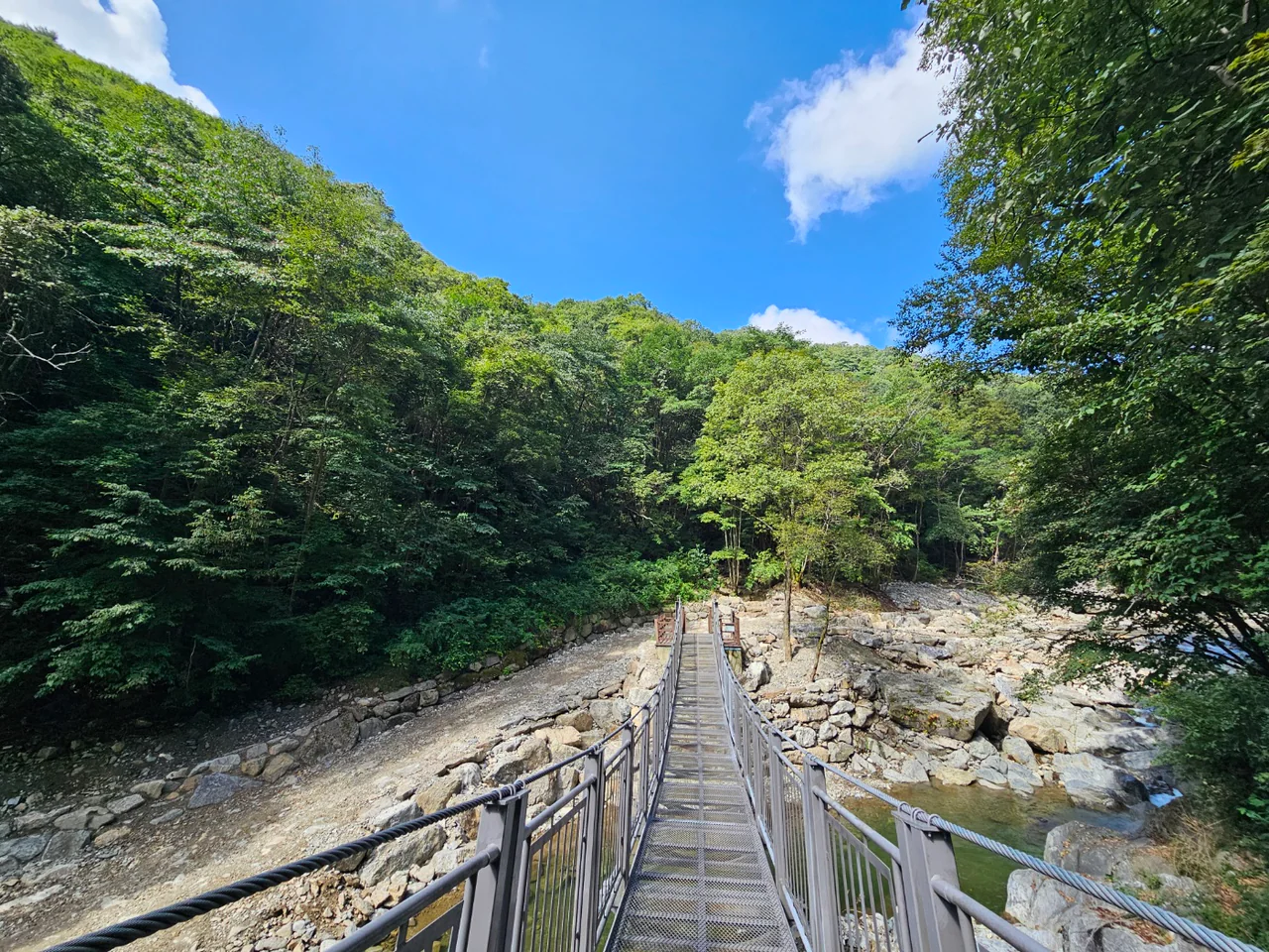 A narrow metal footbridge crosses a rocky stream beneath densely wooded hills and a bright blue sky.