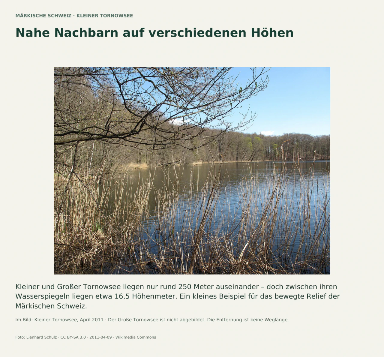 Historische Frühlingsaufnahme des Kleinen Tornowsees zwischen bewaldeten Hängen. Der begleitende Text erklärt den Höhenunterschied zum nicht abgebildeten Großen Tornowsee.