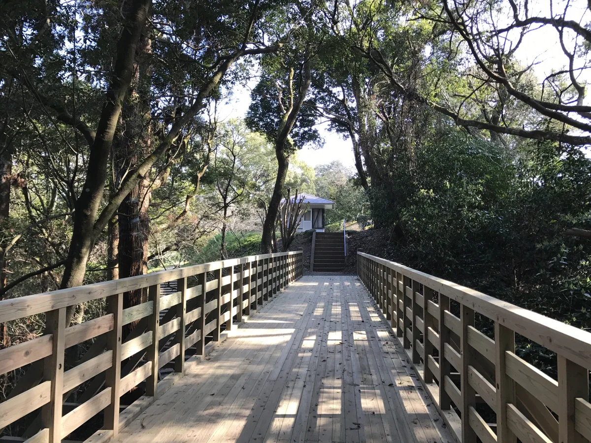 A broad wooden footbridge with railings crosses a shaded wooded hollow, with a short stairway at its far end.