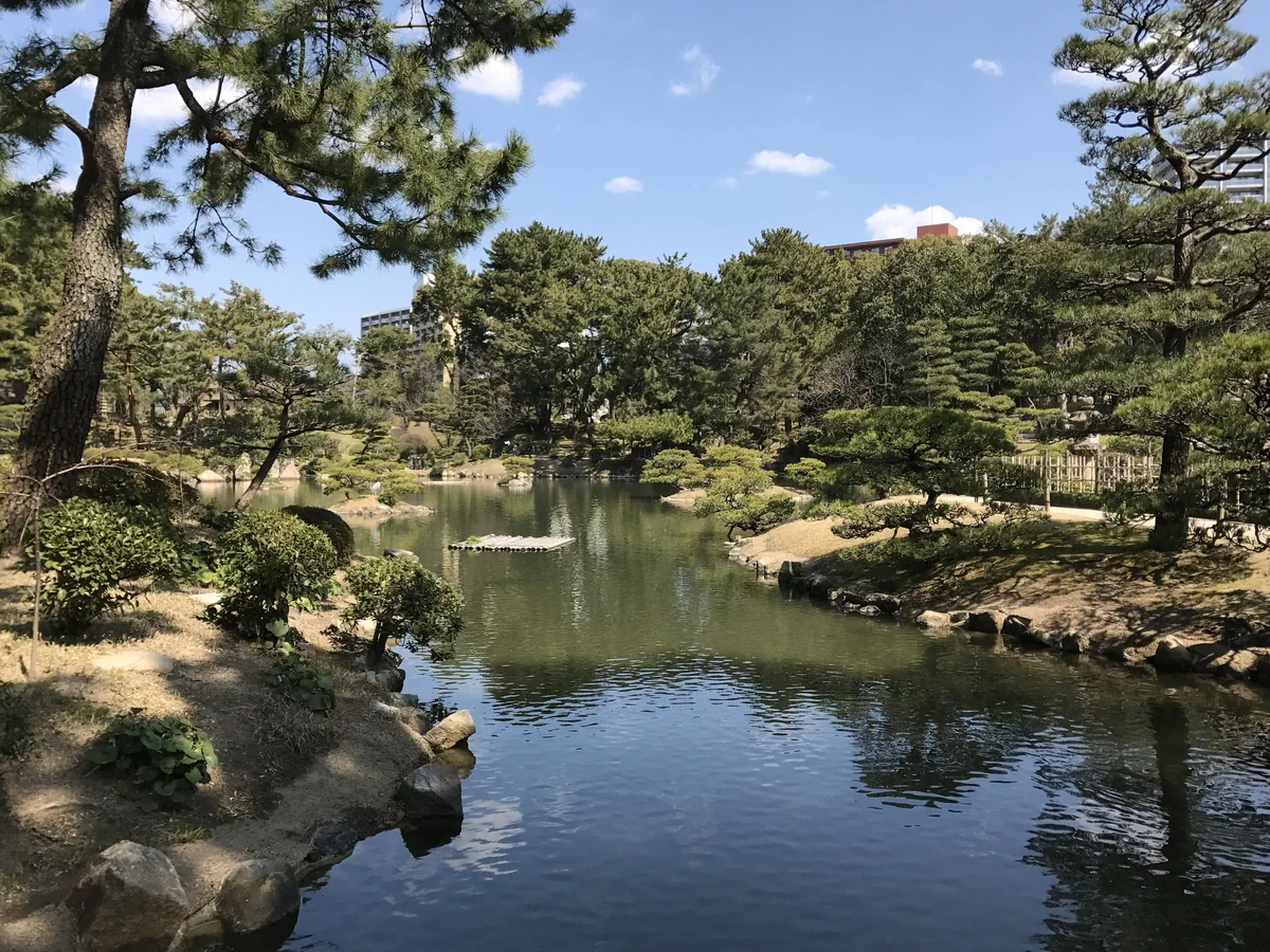 岩や低い岸辺、枝を広げた松に囲まれ、木々の枝が水面に映る静かな池。