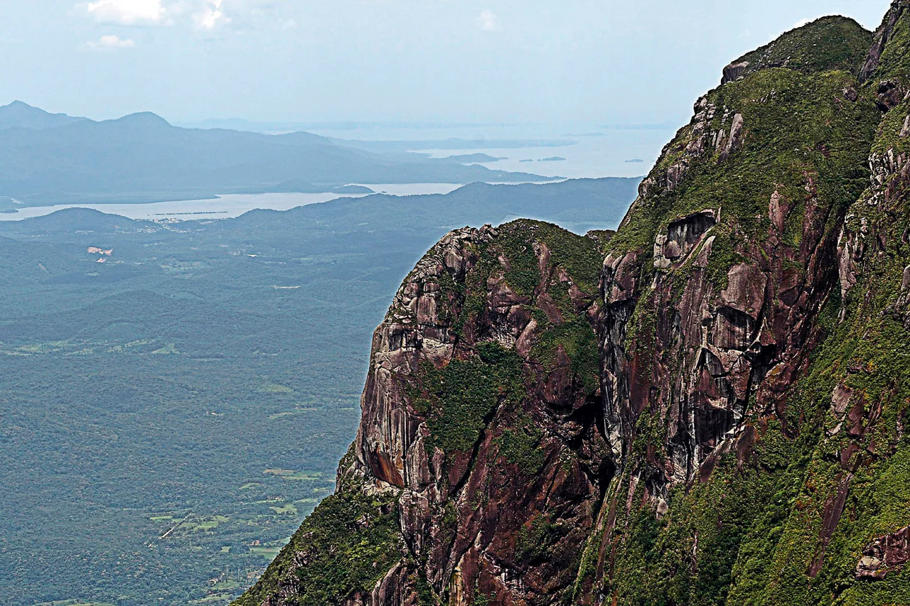 Steep rock faces draped in green vegetation rise above a broad forested lowland, with pale blue coastal water and hazy ridges in the distance.