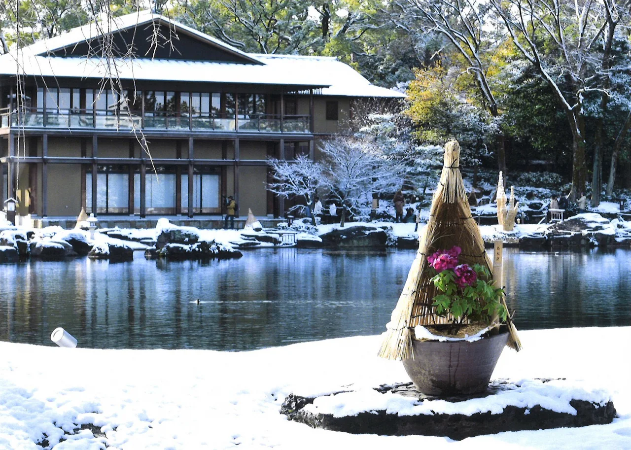 Pink peony flowers stand in a pot beneath a conical straw cover, with snow around the pond and a two-storey garden building reflected in the water.