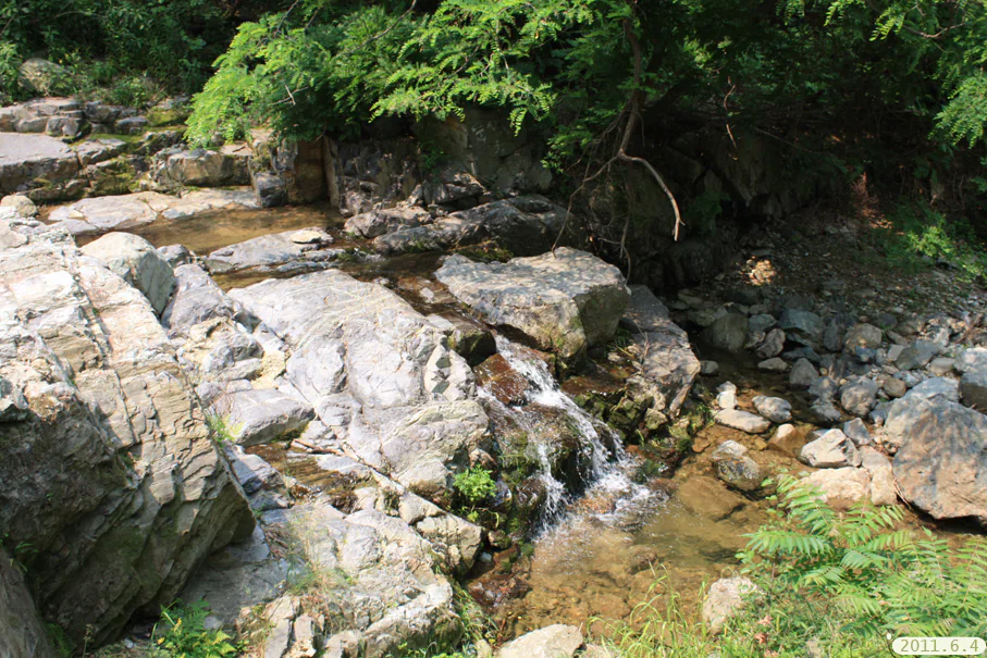 A small cascade flows over pale exposed bedrock into a shallow pool beneath leafy branches; an embedded date stamp remains visible at the lower right.