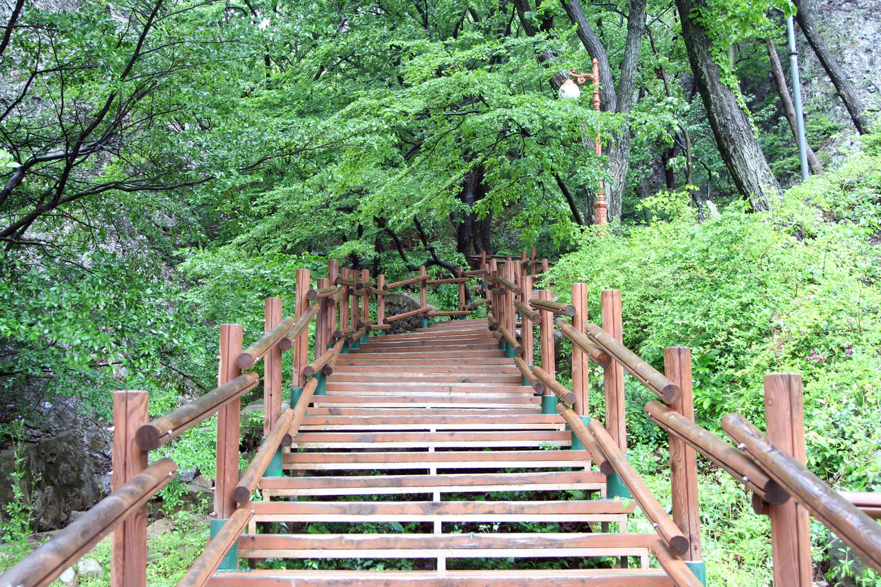 Brown-railed open steps climb between rock faces and dense green woodland, with lamps beside the path.