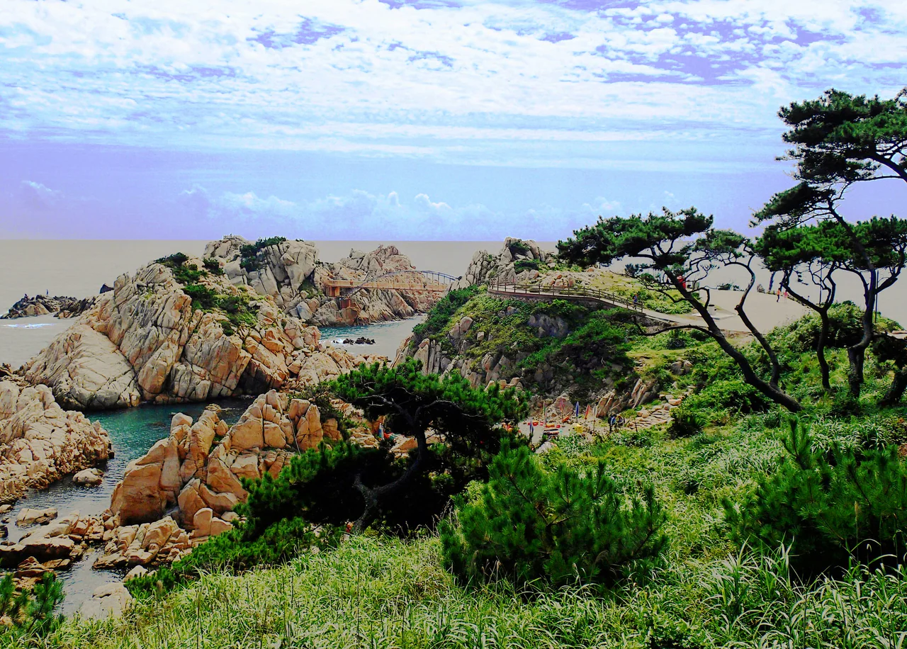 Pine trees frame rocky coastal outcrops and an older pedestrian bridge beneath a blue-purple sky at Daewangam Park.