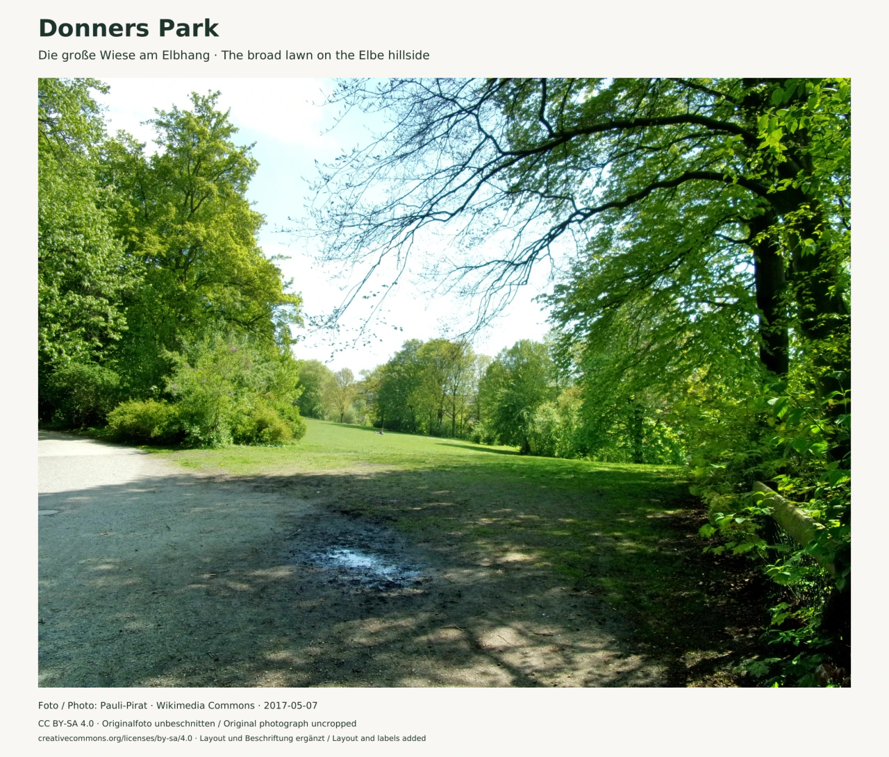 Blick von einem schattigen Weg mit kleiner Pfütze über die breite grüne Wiese in Donners Park. Große Laubbäume rahmen die Lichtung, Äste spannen sich über den hellen Himmel. Im Bildrand stehen Titel, Datum und Fotokredit.