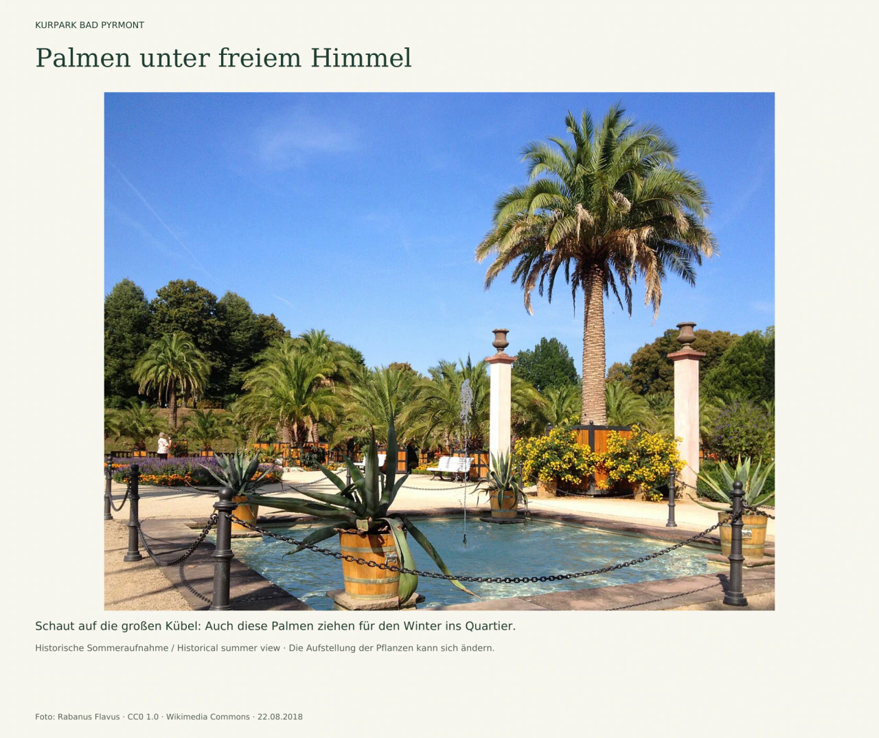 Palmen in großen Holzkübeln und kleinere Kübelpflanzen umgeben ein rundes Wasserbecken mit Springbrunnen. Rechts ragt eine hohe Palme vor blauem Himmel auf; dahinter stehen helle Pfeiler und Blumenbeete.