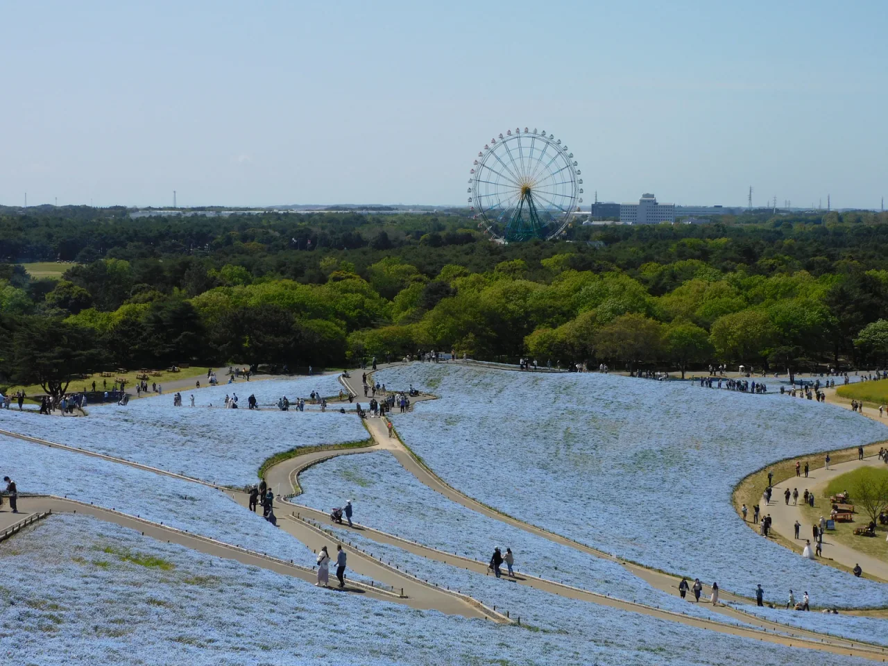 Paths and visitors cross pale-blue flower-covered slopes; woodland and a Ferris wheel stretch across the background.