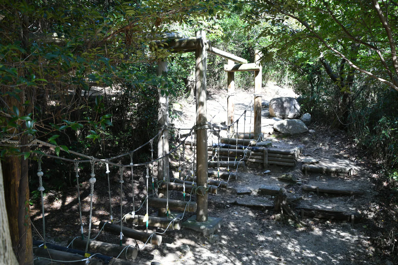 Suspended wooden logs and rope handrails form a play crossing among trees, beside a rough stepped path and scattered rocks.