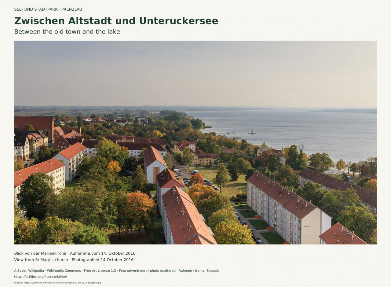 Erhöhter Blick über Dächer und Bäume von Prenzlau auf den breiten Unteruckersee und das flache Umland.