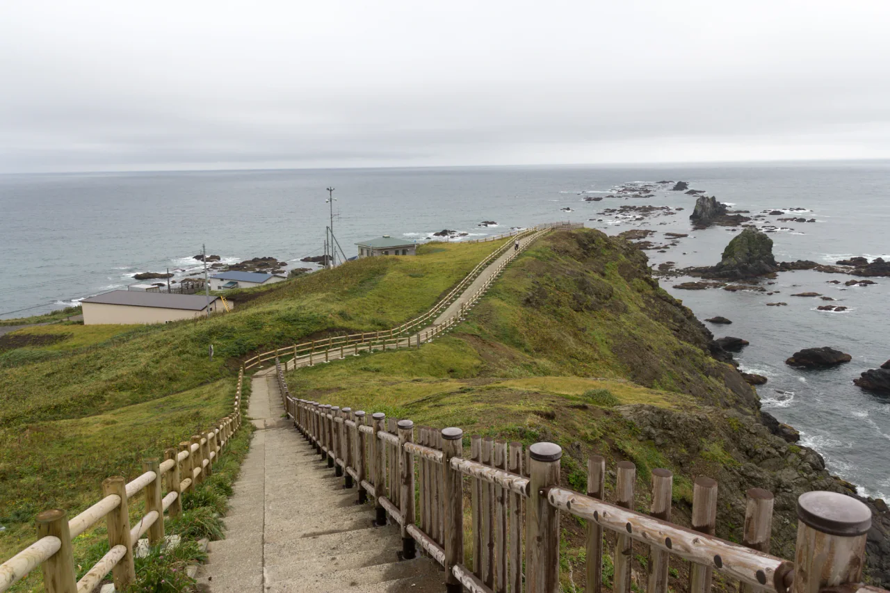Fenced concrete steps descend across a grassy headland towards the sea, with a long chain of dark offshore rocks beyond the cape under an overcast sky.