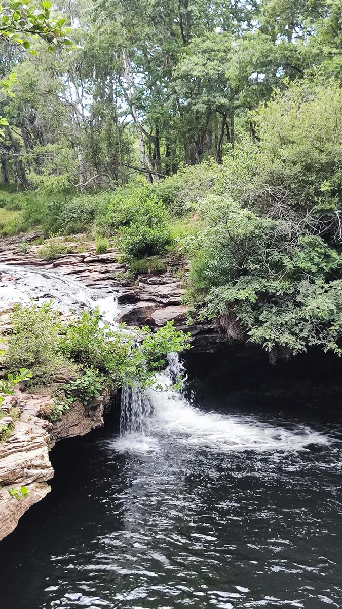 Una pequeña cascada cae entre rocas al río Baias, rodeada de árboles verdes y bosque umbrío cerca de Sarria.