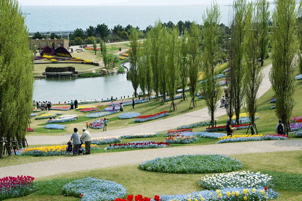 Bands of red, yellow, blue and white flowers beside curving paths, slender trees and a pond, with the sea beyond.
