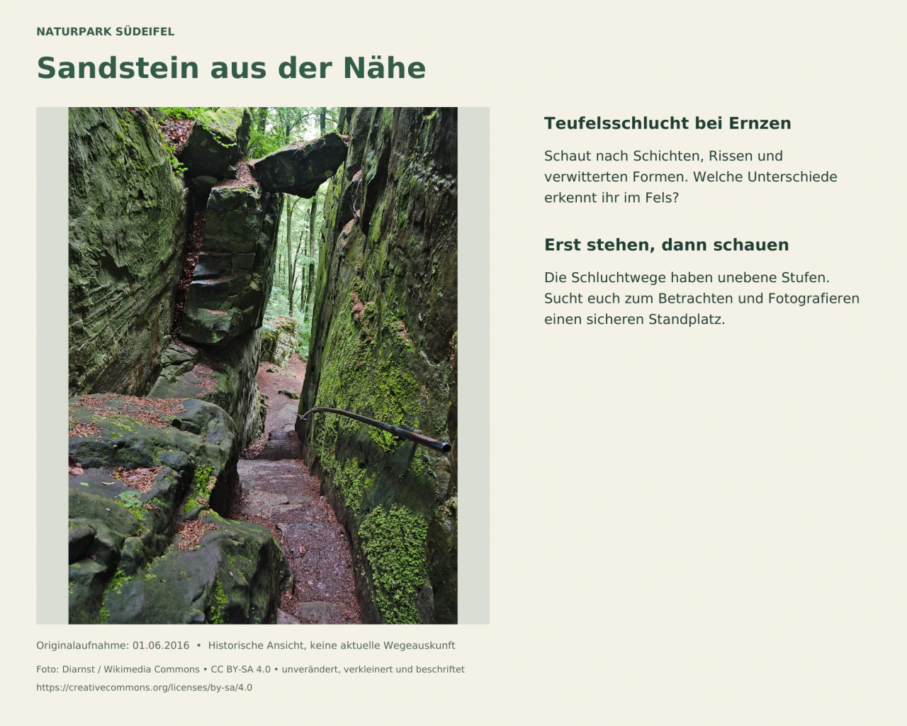 Moosbewachsene Sandsteinwände mit Schichten und Rissen rahmen einen engen Treppenabstieg in der Teufelsschlucht; rechts verläuft ein Handlauf.