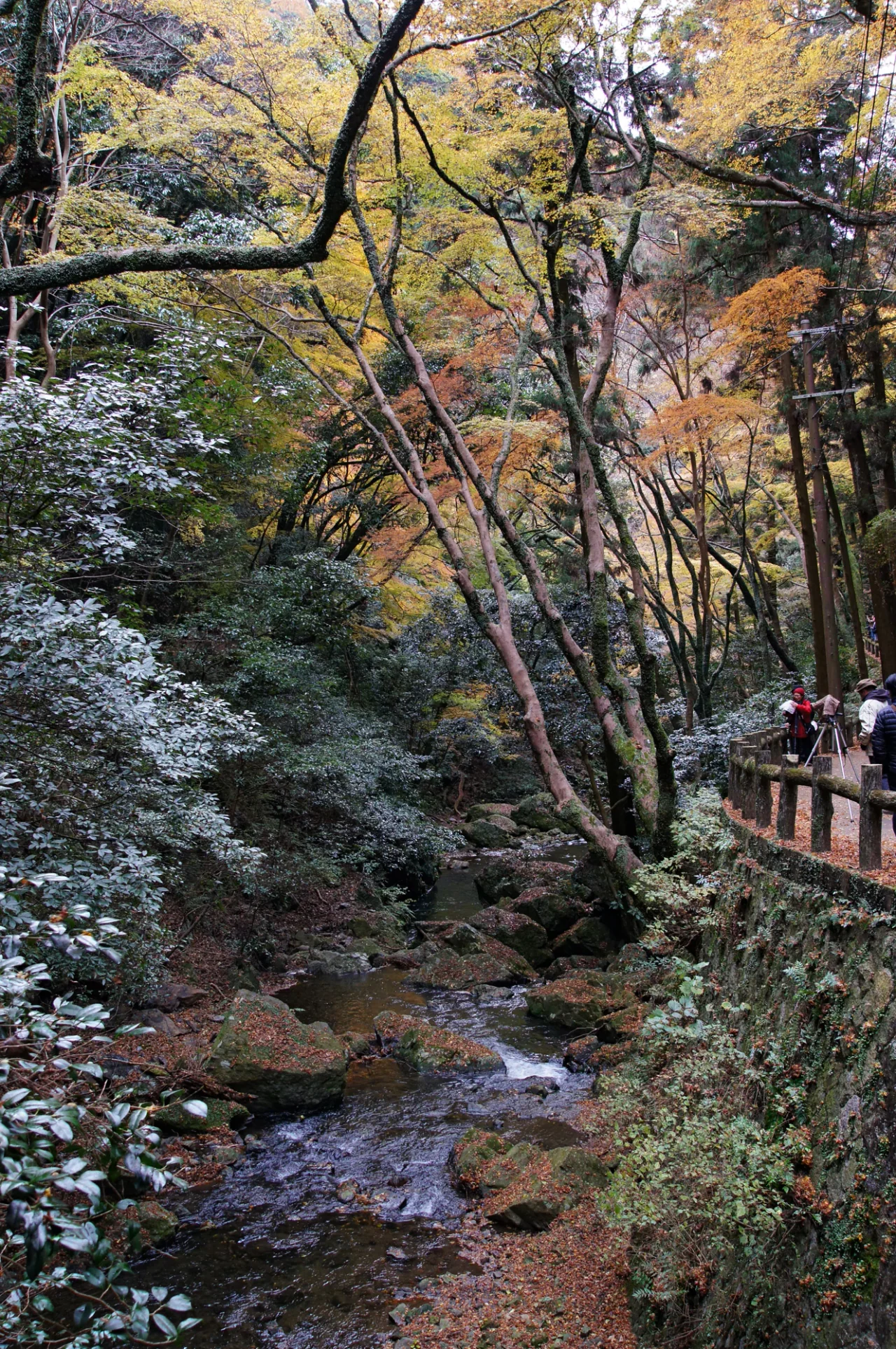 A small rocky stream runs beneath green and yellow trees beside a path with a few visitors.