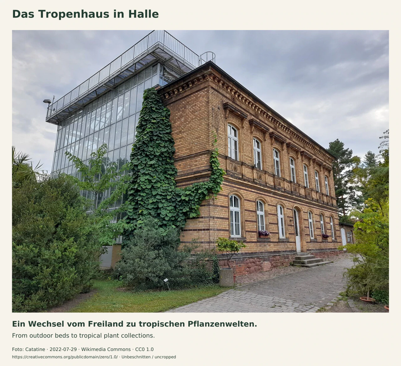 Das große Tropenhaus von außen: eine hohe Glasfront neben einem zweigeschossigen gelben Backsteinbau mit weißen Fenstern, dichtem Klettergrün und einem gepflasterten Weg im Vordergrund.