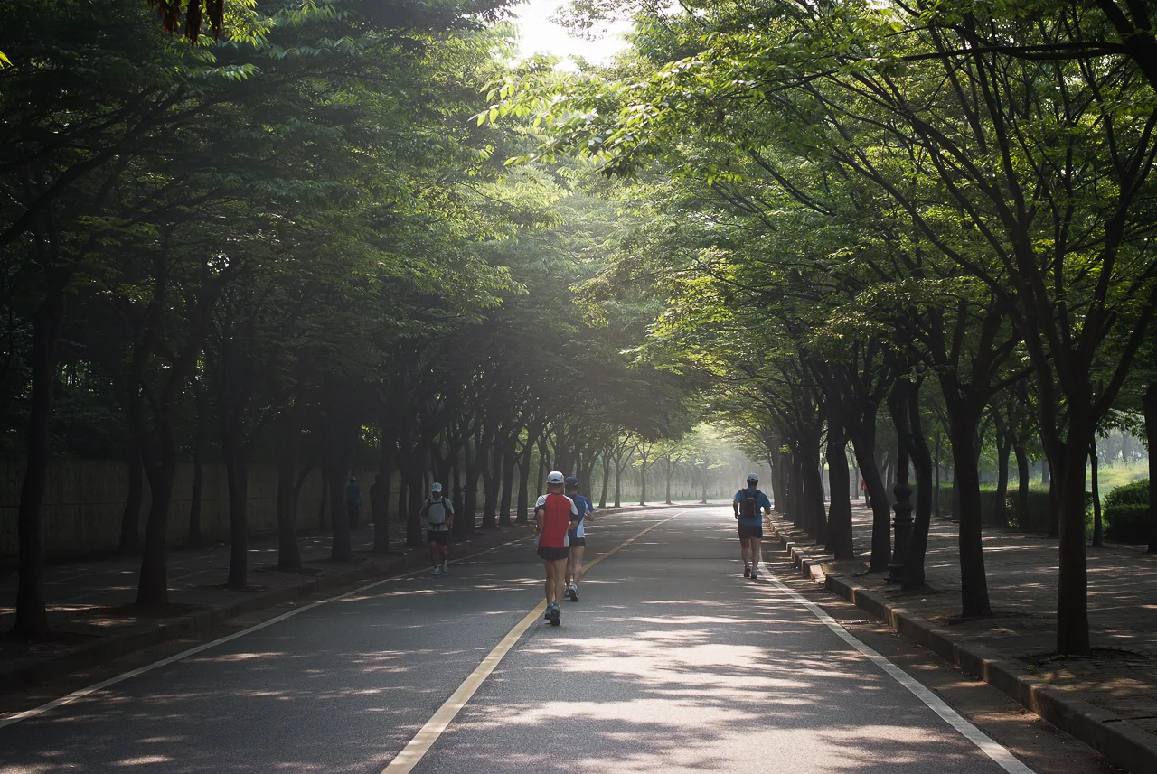 Walkers and joggers on a paved avenue beneath green trees, with shafts of light crossing the path.