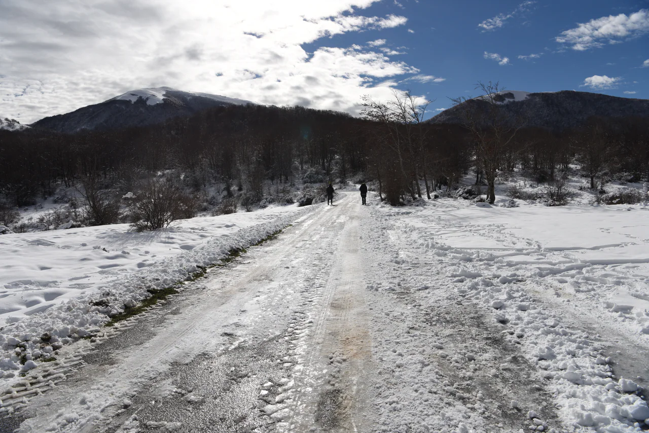 Two rear-facing walkers on a snow-covered track through leafless woodland, with dark mountain slopes and snowy heights beyond.