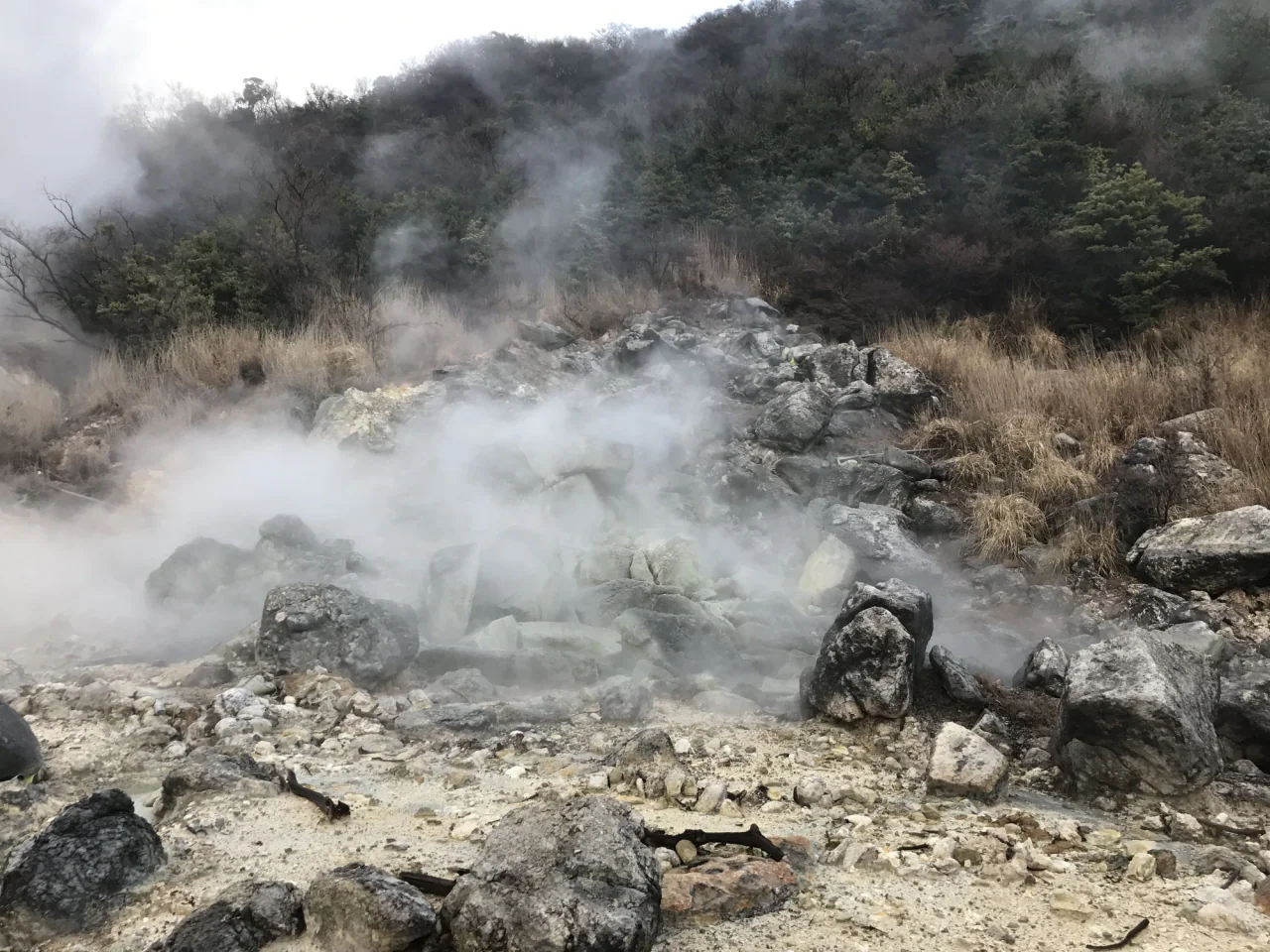 White steam drifts between pale rocks and dry grasses beneath a wooded slope at Unzen Jigoku.