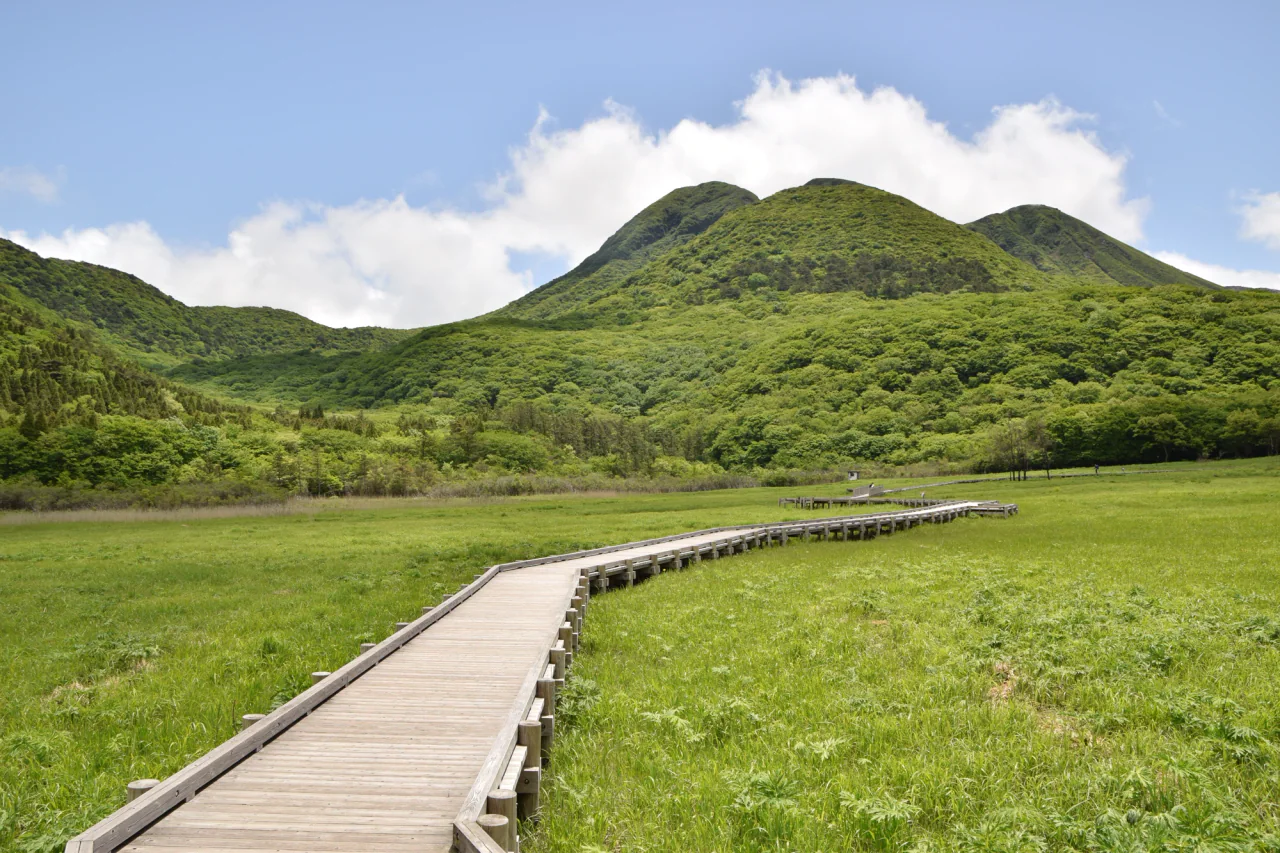 A low wooden boardwalk curves through a bright green wetland toward wooded hills beneath a blue sky.