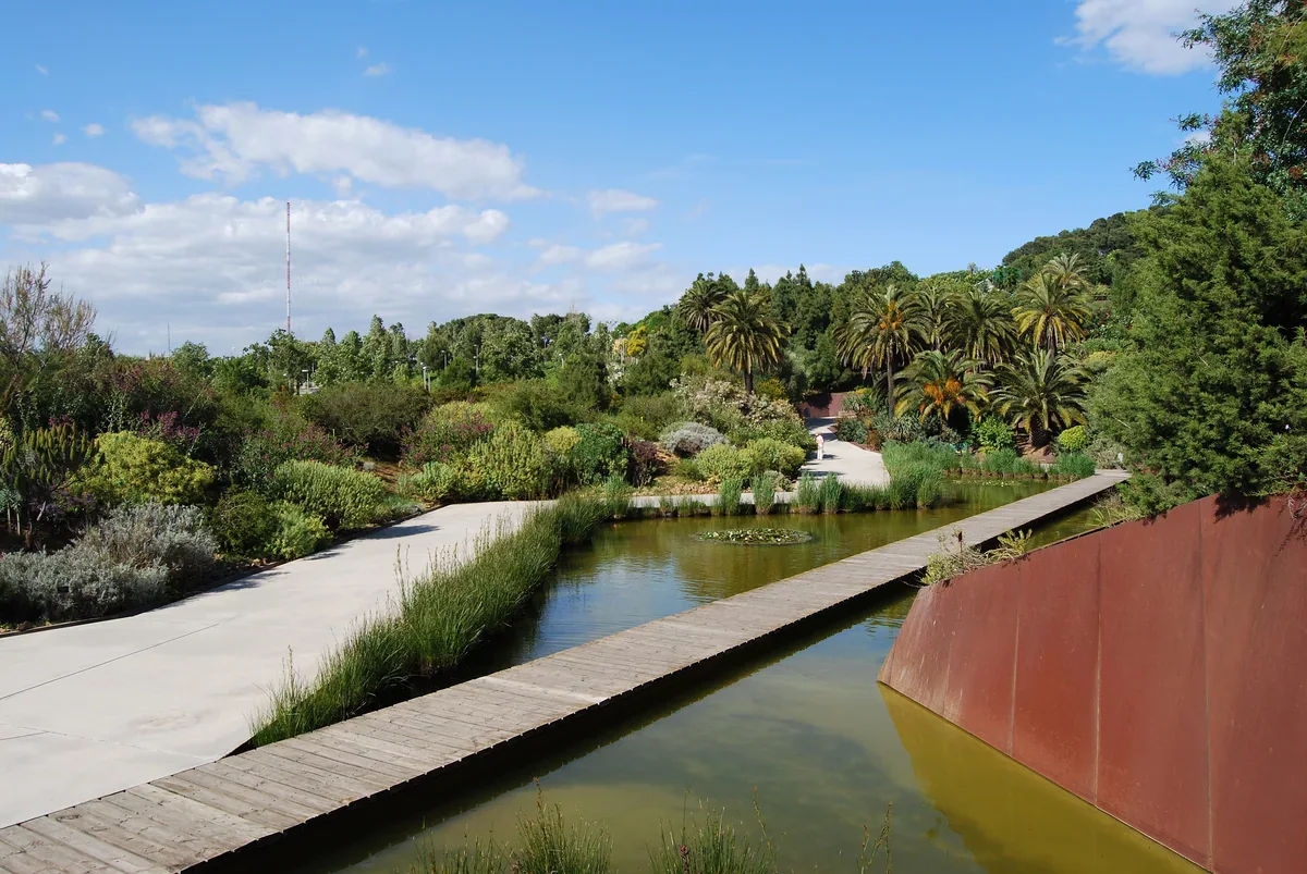 Una pasarela recta de madera cruza un estanque con vegetación junto a un muro de contención de color óxido; al fondo hay caminos claros, arbustos y palmeras.