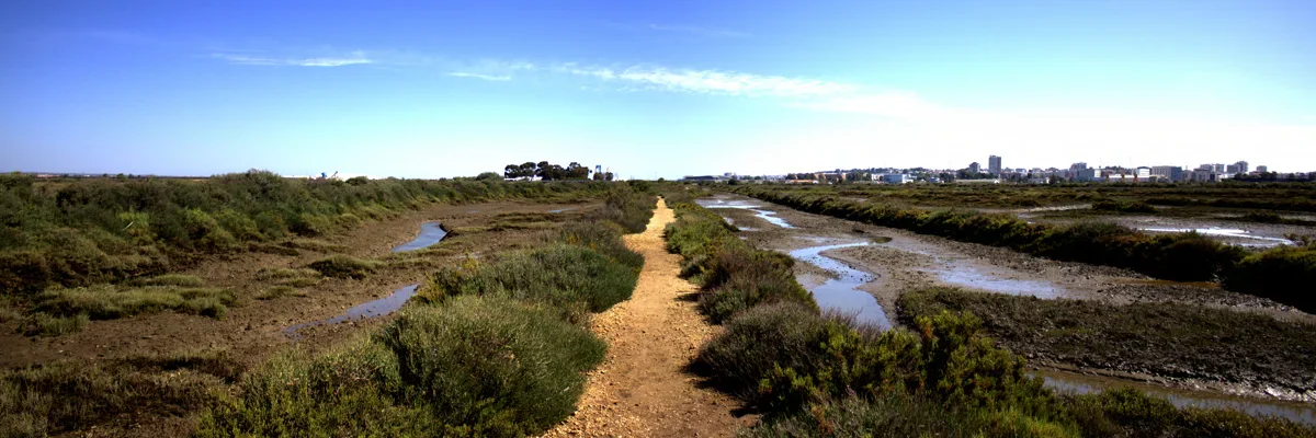 Estrechos caños de marea atraviesan la vegetación baja de marisma, junto a una franja de tierra que se prolonga hacia un lejano horizonte urbano.