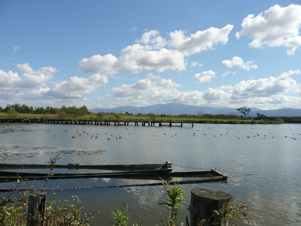 Long low boats are moored in the foreground of a pond with scattered birds, a wooden crossing, grassy banks and distant mountains under a blue sky.