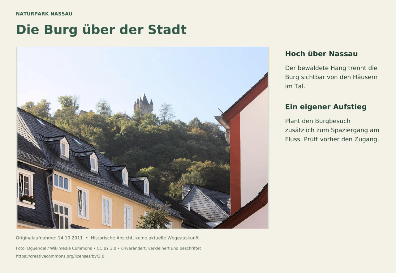 Über Schieferdächern und einem bewaldeten Hang ragt der Turm der Burg Nassau auf.