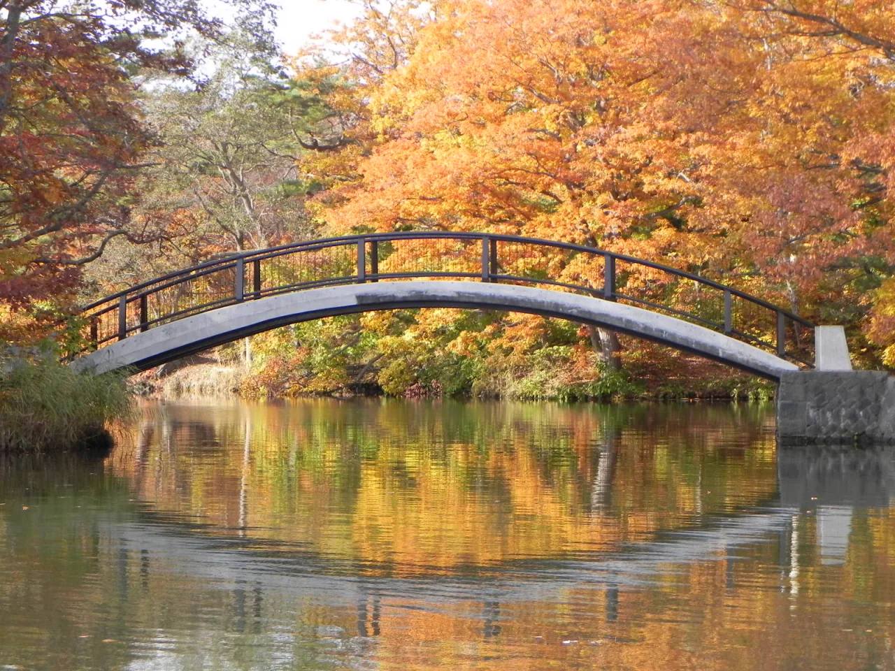 An arched pedestrian bridge crosses still water, with yellow and orange trees and their reflections behind it.