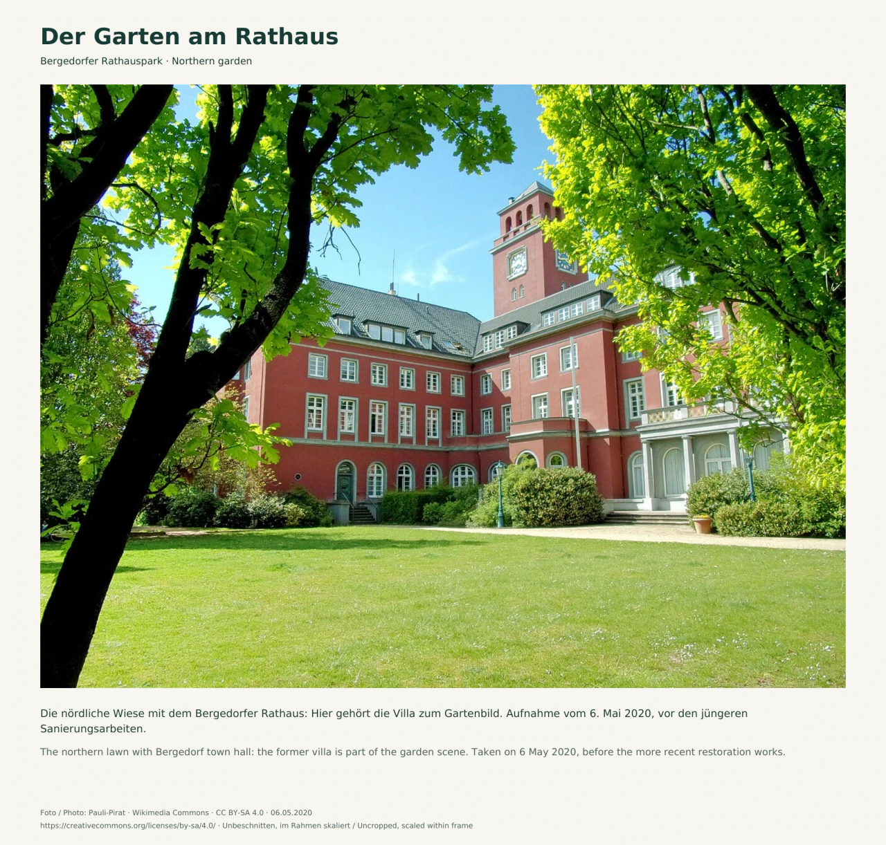 Grüne Baumkronen rahmen eine Rasenfläche vor dem roten Bergedorfer Rathaus mit hellen Fensterrahmen und Uhrturm; ein dunkler Baumstamm steht links im Vordergrund.