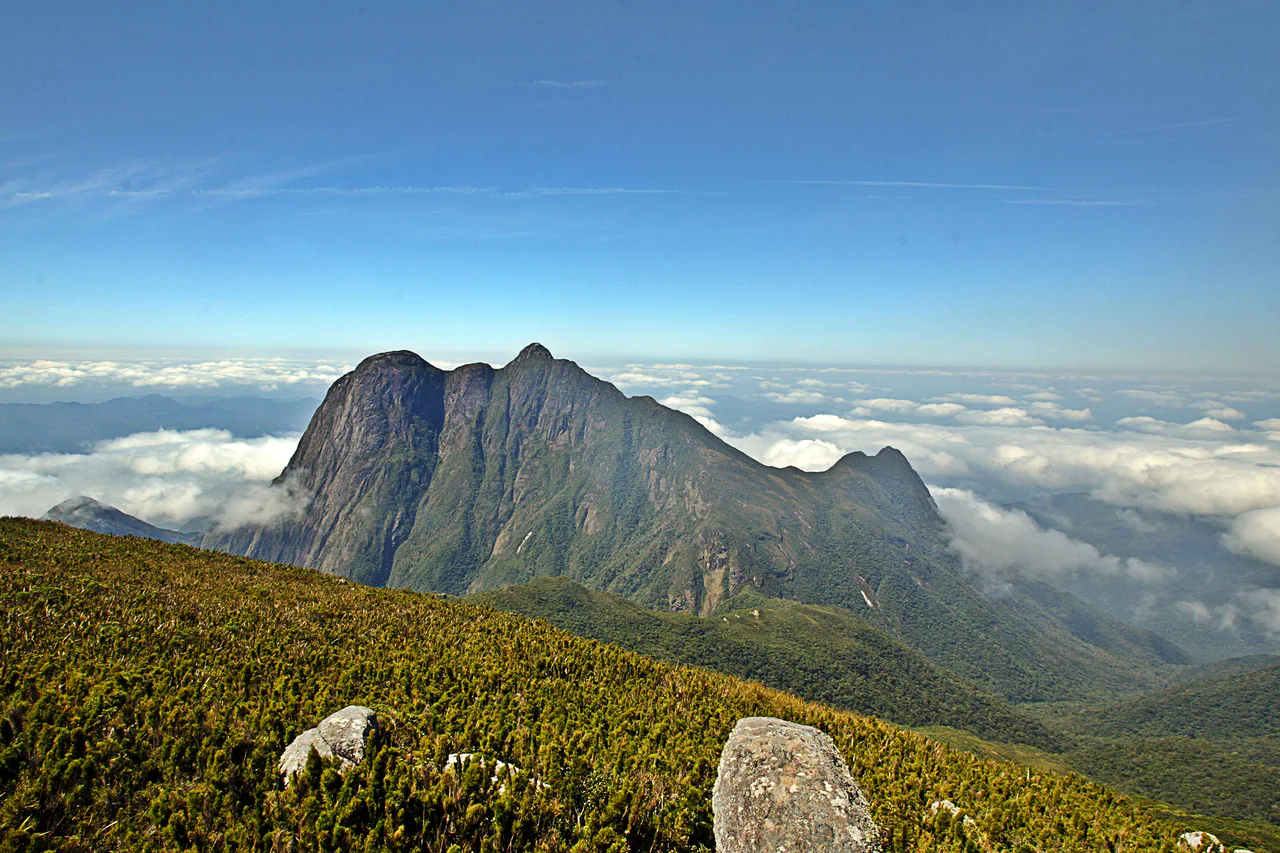 A rugged, green-sided mountain ridge rises above banks of white cloud, with low vegetation and pale rocks in the foreground.