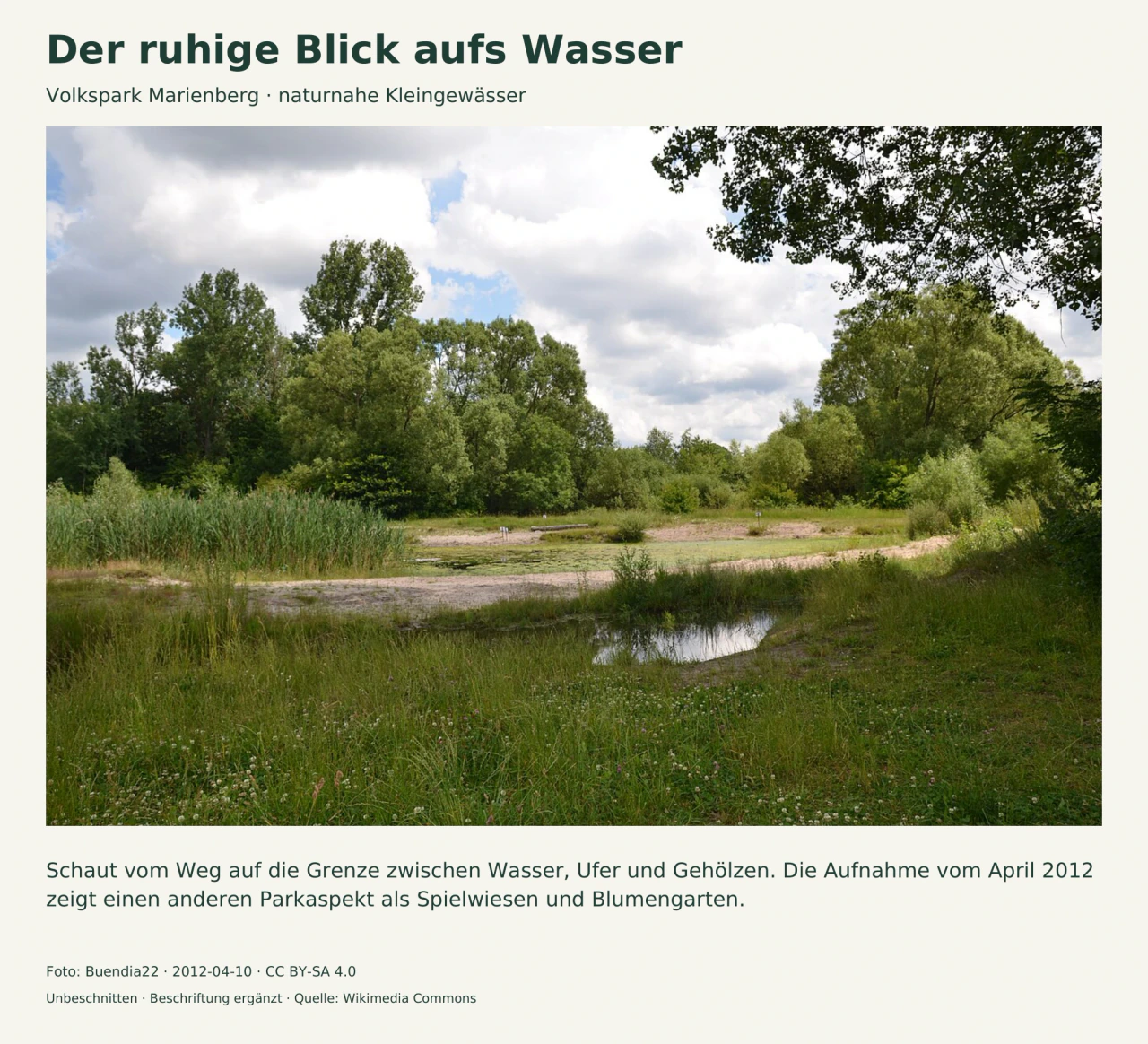 Kleine flache Wasserflächen liegen zwischen hellen Uferstreifen, Schilf und Gras; dicht belaubte Bäume rahmen die Szene unter bewölktem Himmel.