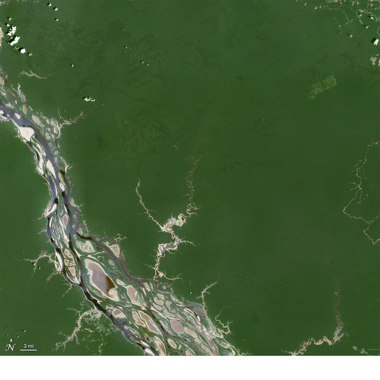Natural-color satellite image of branching Rio Negro channels and pale sandbars among extensive dark-green forest in the Anavilhanas area. The original north marker, 3 mi scale and white bottom band remain visible.